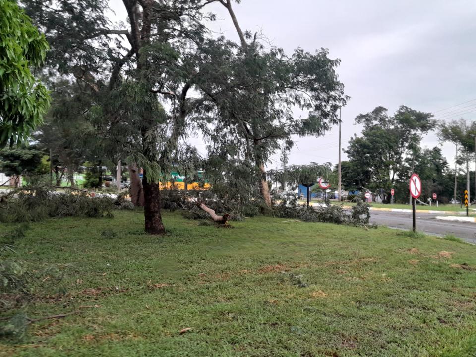 Foto 14 de 29 — Tempestade derruba dezenas de árvores e causa prejuízos em Boa Esperança do Sul